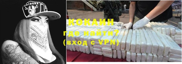 прущие грибы Лабытнанги