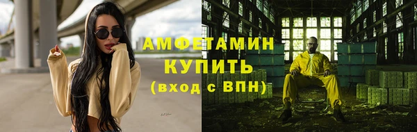прущие грибы Ладушкин