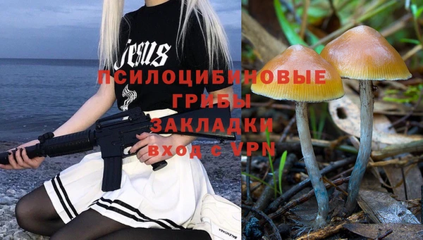 прущие грибы Ладушкин