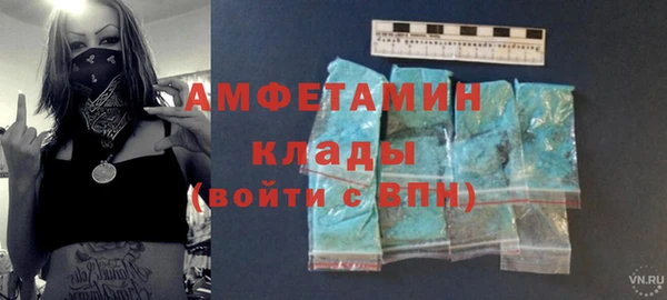 прущие грибы Ладушкин