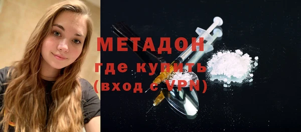 прущие грибы Лабытнанги