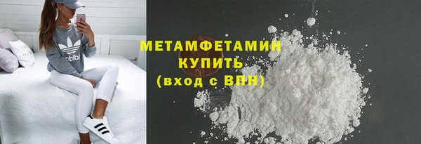 прущие грибы Ладушкин