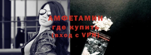 прущие грибы Ладушкин