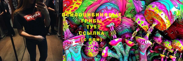 прущие грибы Ладушкин