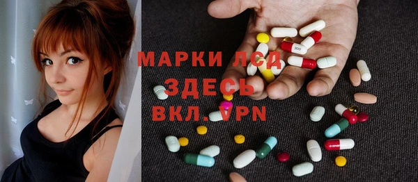 прущие грибы Лабытнанги