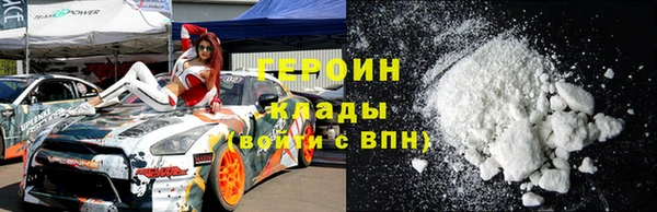 прущие грибы Лабытнанги