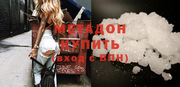 прущие грибы Лабытнанги
