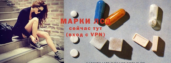 прущие грибы Лабытнанги