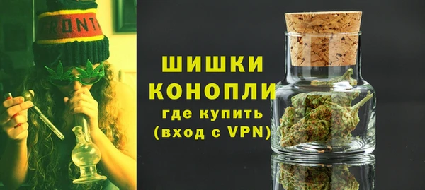 прущие грибы Лабытнанги