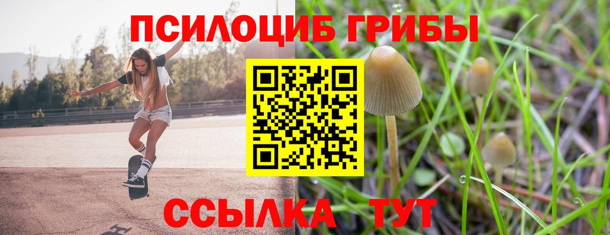 Псилоцибиновые грибы Psilocybine cubensis  Вход с VPN  Мелеуз 