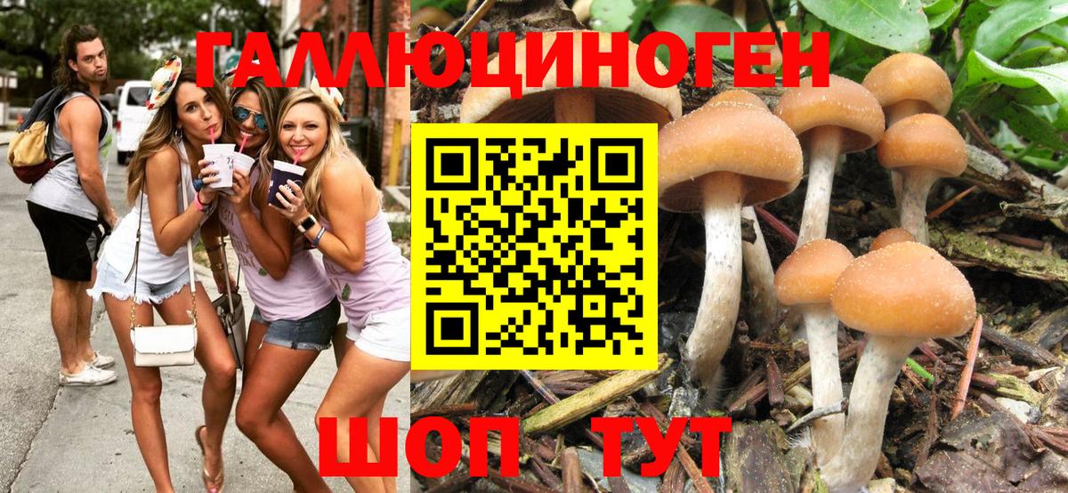 Псилоцибиновые грибы MAGIC MUSHROOMS Мелеуз